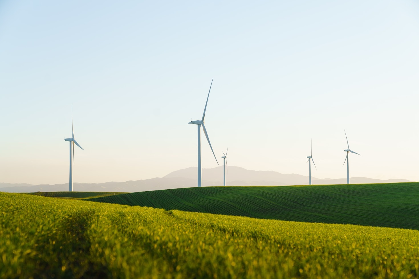 Como o ALIAMUS transforma municípios com estratégias ESG