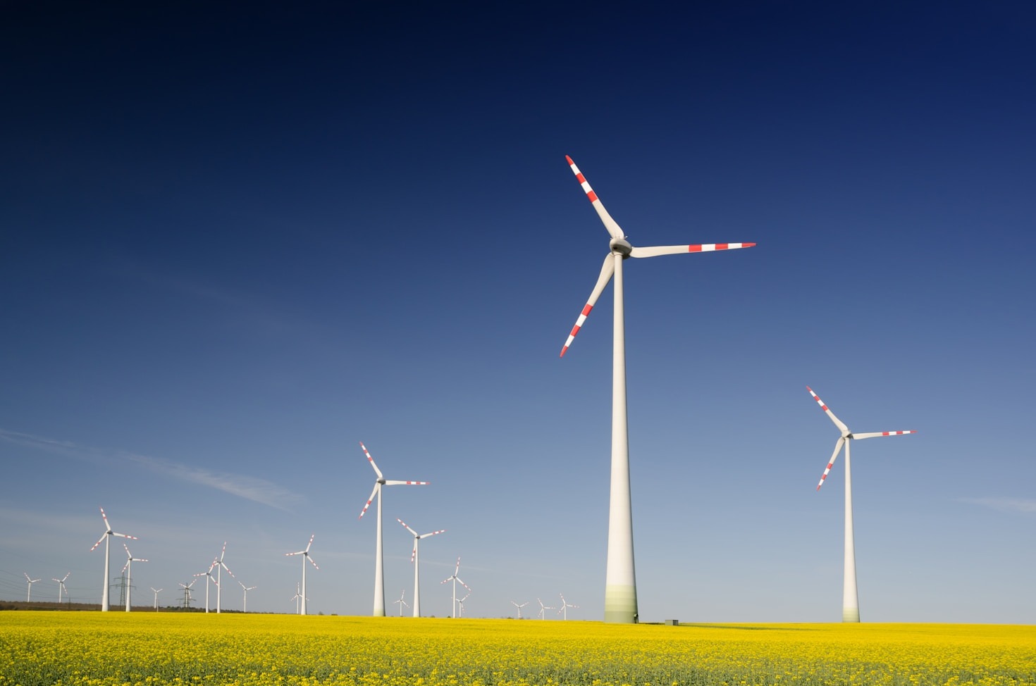 Parcerias que impulsionam o desenvolvimento regional sustentável